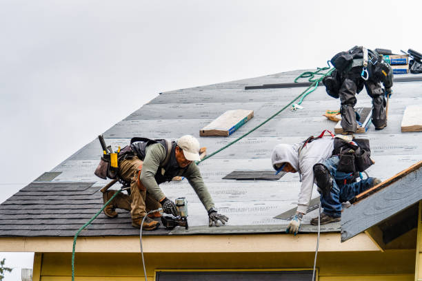 Professional Gutter Installation technician working in Callao, VA